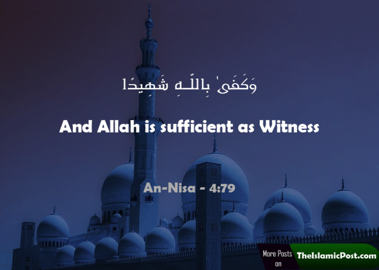 Amazing Islamic posts & Quotes from Quran